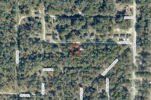 Land in Ocala, Florida № 2384464