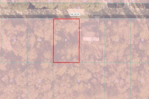 Land in Ocala, Florida № 2384464 - photo 9