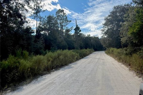 Land in Ocala, Florida № 2384464 - photo 8