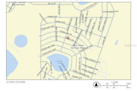 Land in Ocklawaha, Florida № 2163713