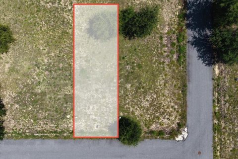 Land in Steinhatchee, Florida № 2159215 - photo 6