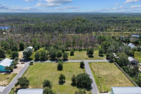 Land in Steinhatchee, Florida № 2159215 - photo 12