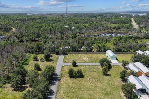 Land in Steinhatchee, Florida № 2159215 - photo 14