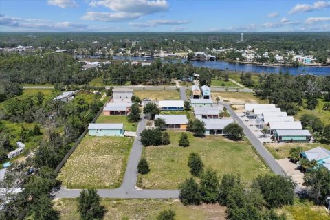Land in Steinhatchee, Florida № 2159215 - photo 7
