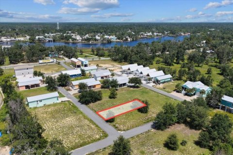 Land in Steinhatchee, Florida № 2159215 - photo 5