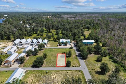 Land in Steinhatchee, Florida № 2159215 - photo 3