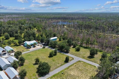 Land in Steinhatchee, Florida № 2159215 - photo 10