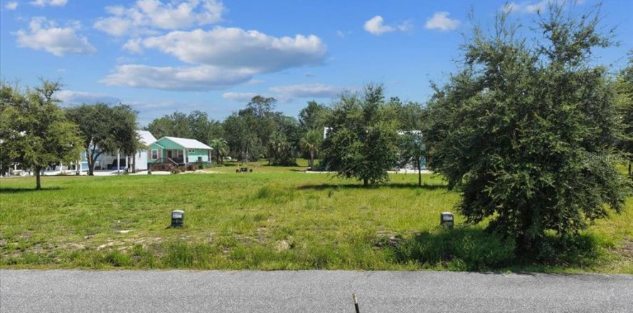Land in Steinhatchee, Florida № 2159215