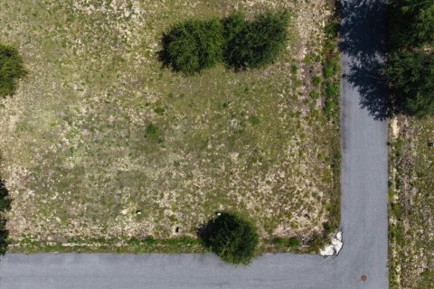 Land in Steinhatchee, Florida № 2159215 - photo 2