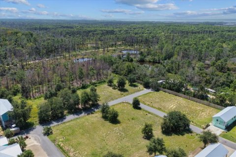 Land in Steinhatchee, Florida № 2159215 - photo 13