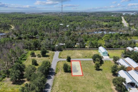 Land in Steinhatchee, Florida № 2159215 - photo 4