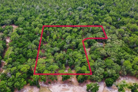Land in Altoona, Florida № 2351913