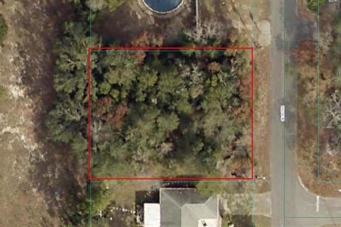 Terreno en venta en Summerfield, Florida № 1688214 - foto 2