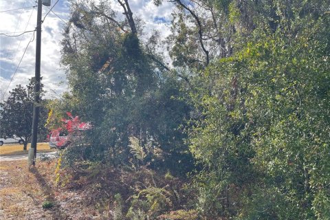 Terreno en venta en Summerfield, Florida № 1688214 - foto 9
