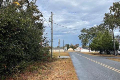 Terreno en venta en Summerfield, Florida № 1688214 - foto 5