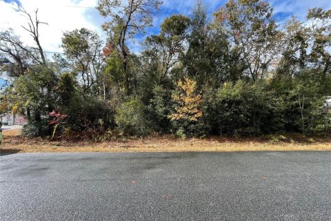 Terreno en venta en Summerfield, Florida № 1688214 - foto 12