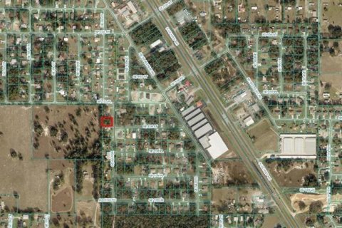 Terreno en venta en Summerfield, Florida № 1688214 - foto 10