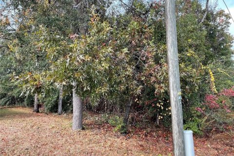 Terreno en venta en Summerfield, Florida № 1688214 - foto 11