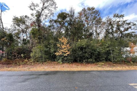 Terreno en venta en Summerfield, Florida № 1688214 - foto 1