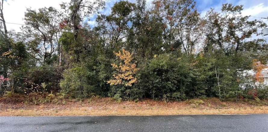 Terreno en Summerfield, Florida № 1688214