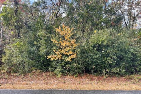 Terreno en venta en Summerfield, Florida № 1688214 - foto 8