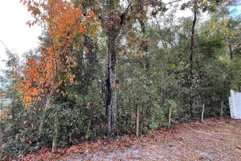 Terreno en venta en Summerfield, Florida № 1688214 - foto 3