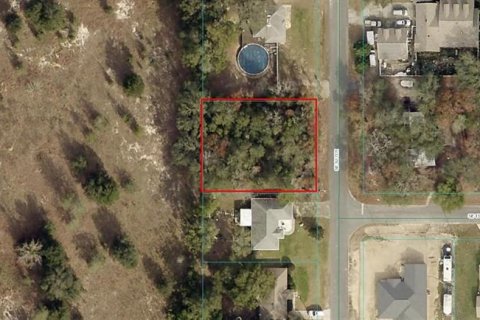 Terreno en venta en Summerfield, Florida № 1688214 - foto 4