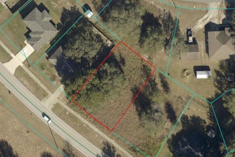Land in Ocala, Florida № 2351789