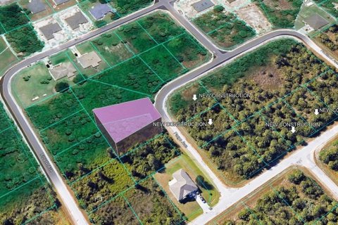 Land in Palm Bay, Florida № 2162312 - photo 4