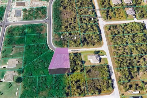 Land in Palm Bay, Florida № 2162312 - photo 3