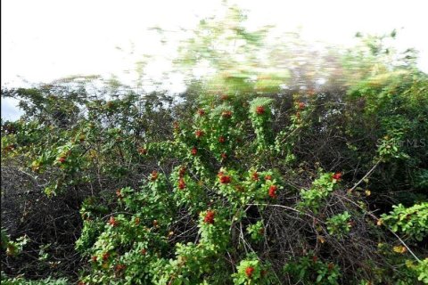 Купить земельный участок в Норт-Порт, Флорида № 2211214 - фото 2