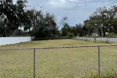 Land in Orlando, Florida № 1792166 - photo 4