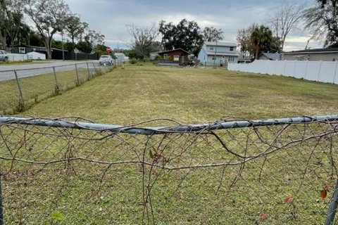 Land in Orlando, Florida № 1792166 - photo 6