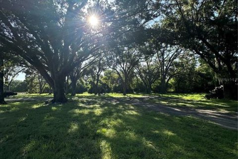 Casa en alquiler en Zolfo Springs, Florida, 5 dormitorios, 192.49 m2 № 1841718 - foto 8