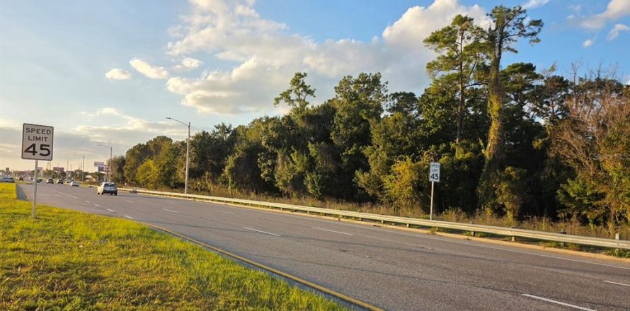 Land in Orlando, Florida № 2136816