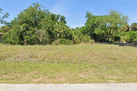 Land in North Port, Florida № 2371432 - photo 3