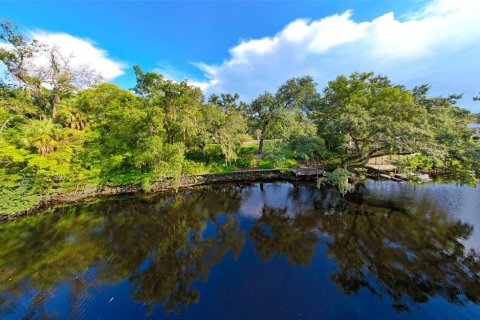 Land in Tampa, Florida № 2386279 - photo 20