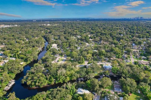 Land in Tampa, Florida № 2386279 - photo 27