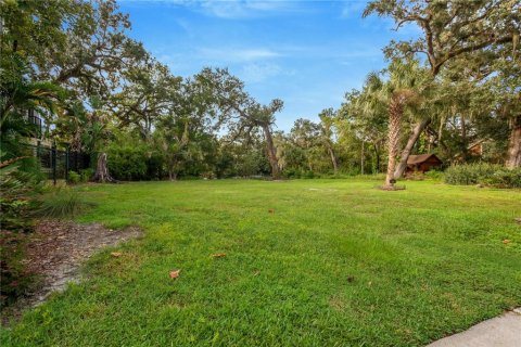 Land in Tampa, Florida № 2386279 - photo 5