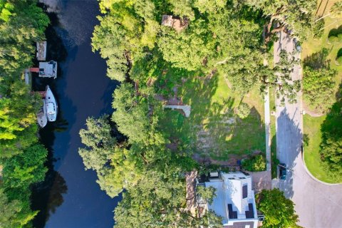 Land in Tampa, Florida № 2386279 - photo 2