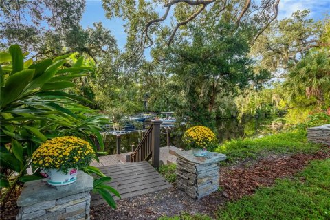 Land in Tampa, Florida № 2386279 - photo 14