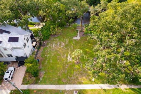 Land in Tampa, Florida № 2386279
