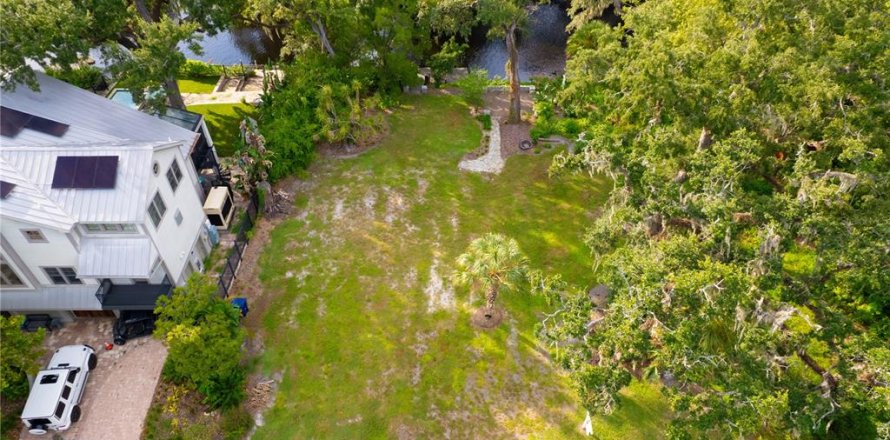 Land in Tampa, Florida № 2386279