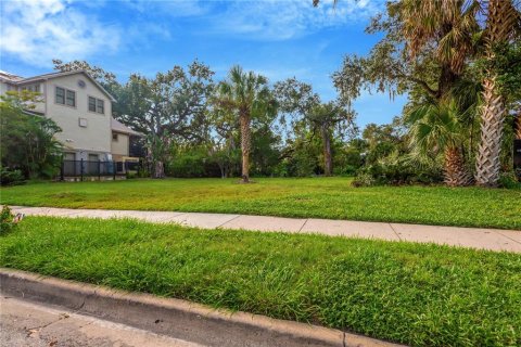 Land in Tampa, Florida № 2386279 - photo 8