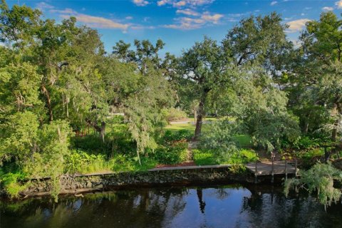 Land in Tampa, Florida № 2386279 - photo 19