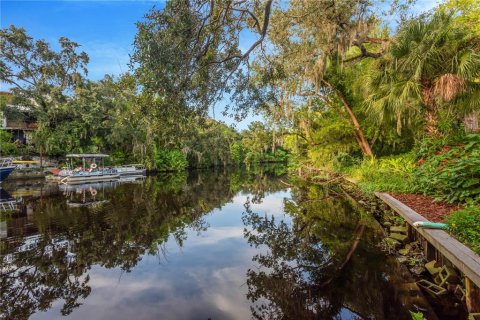 Land in Tampa, Florida № 2386279 - photo 18