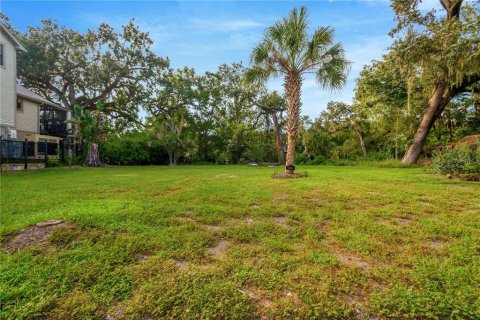 Land in Tampa, Florida № 2386279 - photo 6