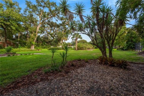 Land in Tampa, Florida № 2386279 - photo 13