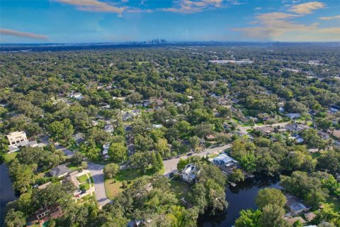 Land in Tampa, Florida № 2386279 - photo 25