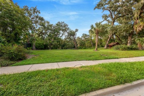 Land in Tampa, Florida № 2386279 - photo 4